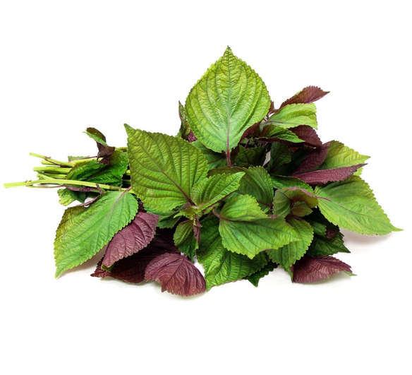 Shiso 100g Pack