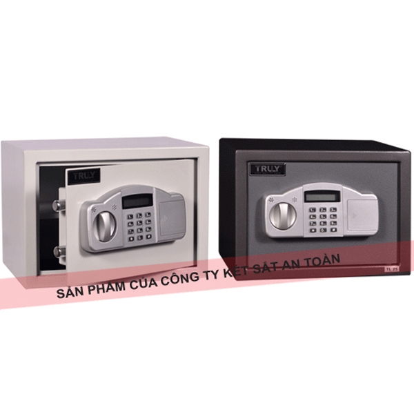 Két sắt khác sạn Truly Tl-250