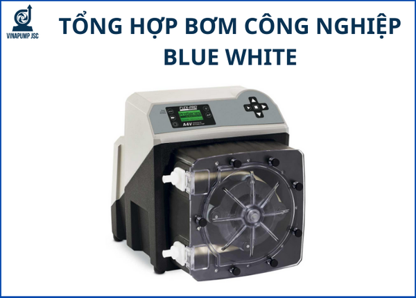 Tổng hợp kiến thức bơm công nghiệp Blue White