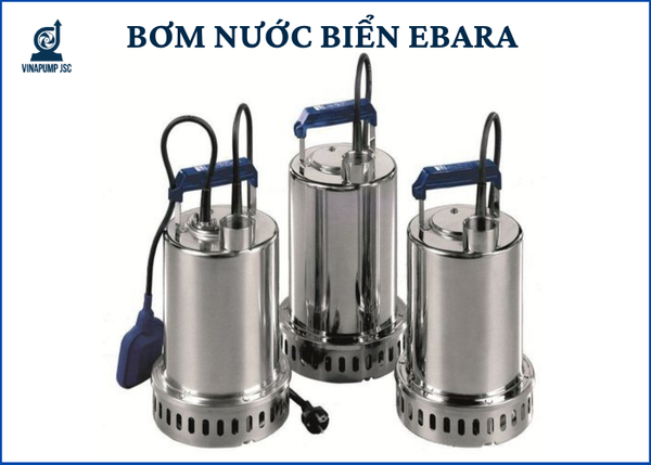 Máy bơm nước biển Ebara có tốt không?
