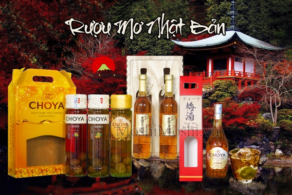 Rượu mơ Nhật chính hãng giá rẻ nhất thị trường quà Tết 2021.