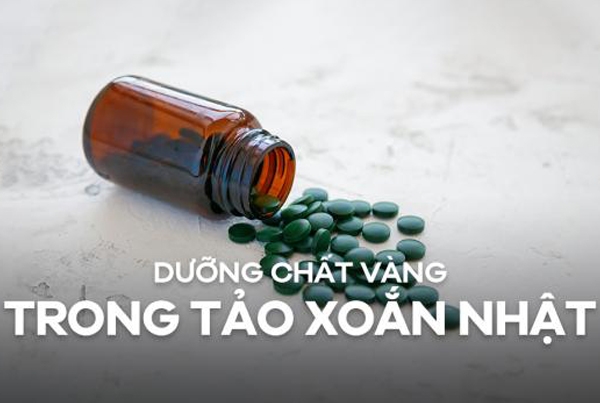 Thành phần dinh dưỡng có trong tảo xoắn Spirulina Nhật Bản