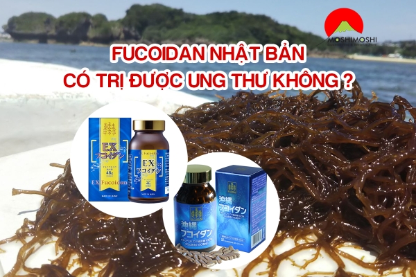 Fucoidan Nhật Bản có trị được ung thư không ? Loại nào tốt nhất 2023 ?