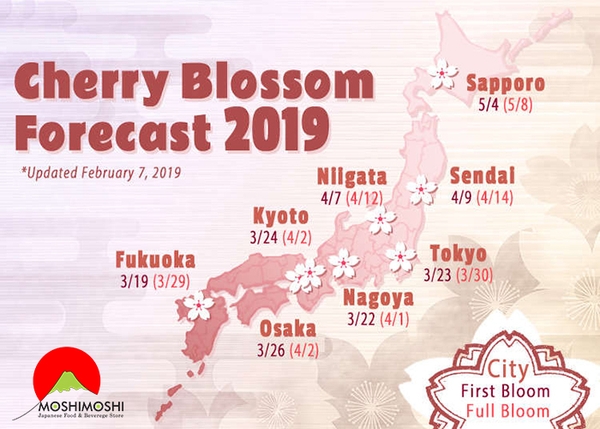 Mùa hoa anh đào Nhật Bản 2019 sẽ đến sớm