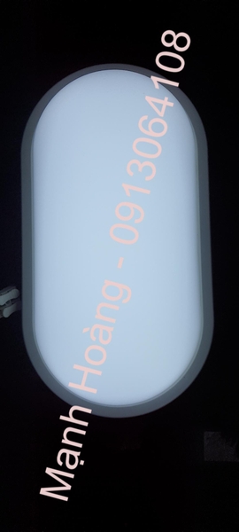 Đèn tường Led trục đục