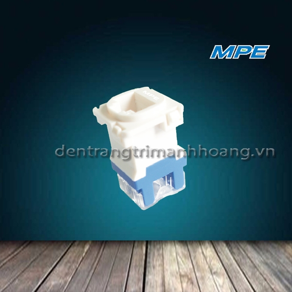 Hạt ổ cắm mạng A20 Plus MPE