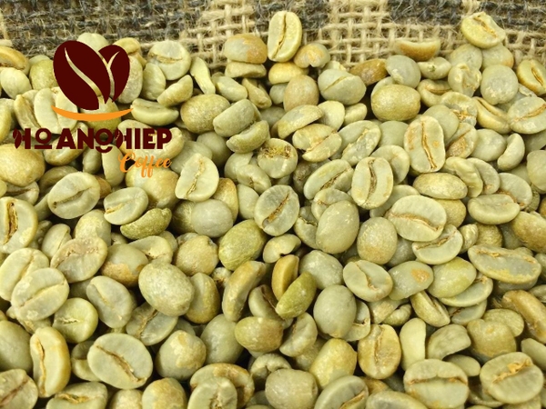 ca-phe-nhan-arabica-son-la