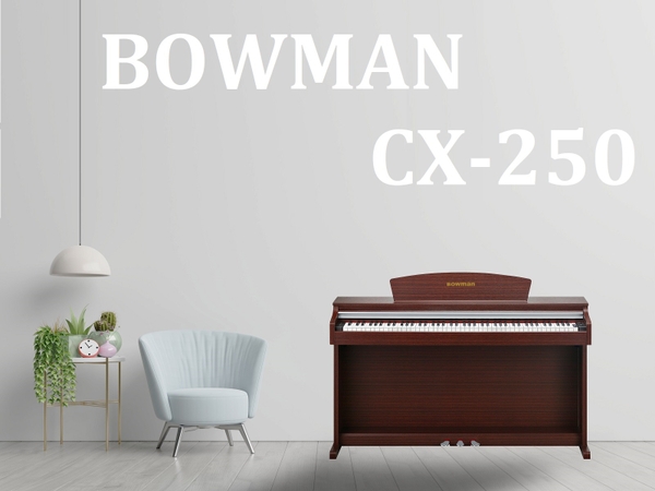 dan-piano-dien-moi-bowman-cx-250-br