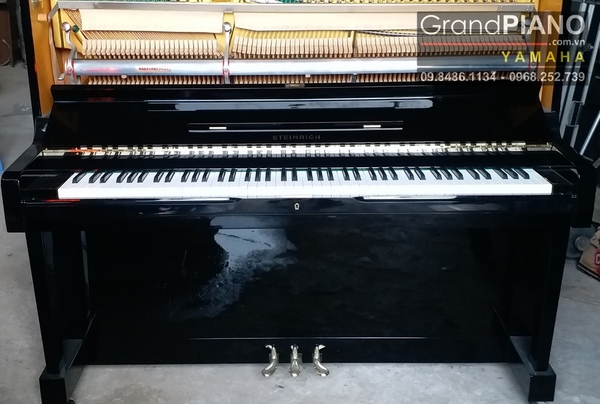 dan-piano-steinrich-s64