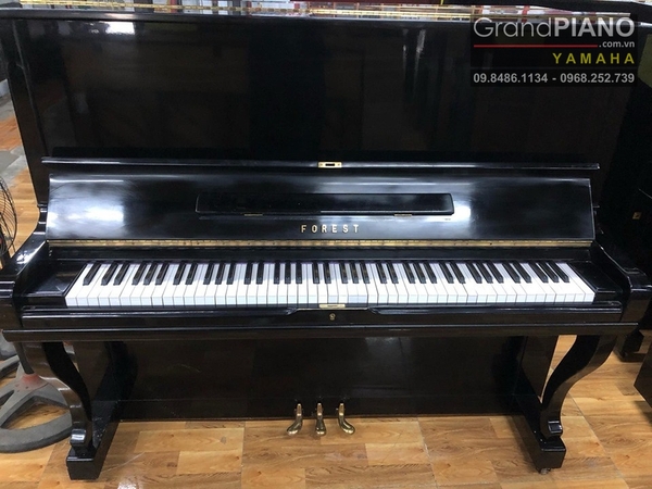dan-piano-forest-fu55