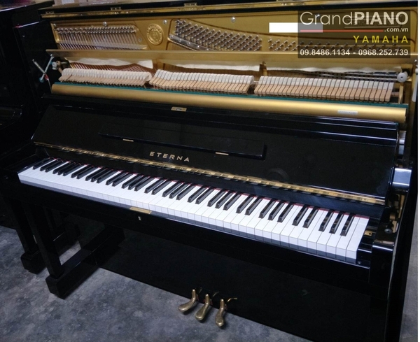 dan-piano-eterna