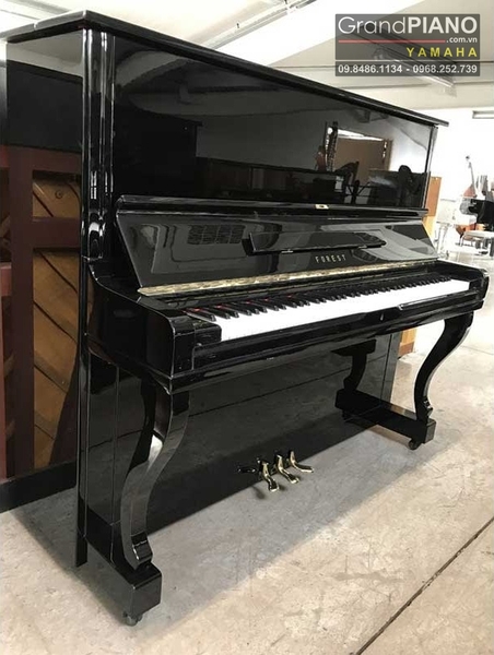 dan-piano-forest-fu55b