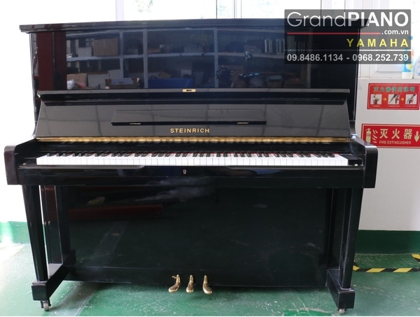 dan-piano-steinrich-s10