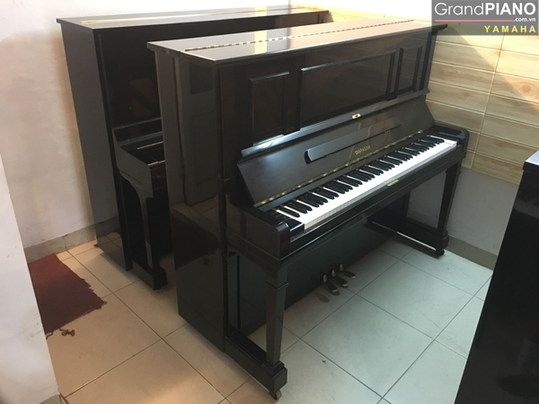 dan-piano-diapason-132-bw