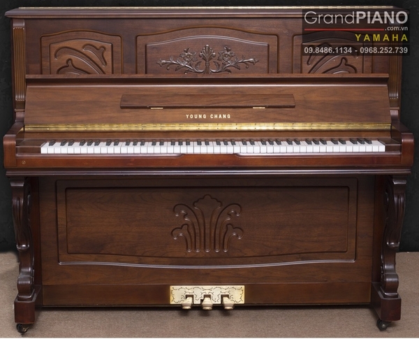 dan-piano-young-chang-u121nfi-seri-21649xx
