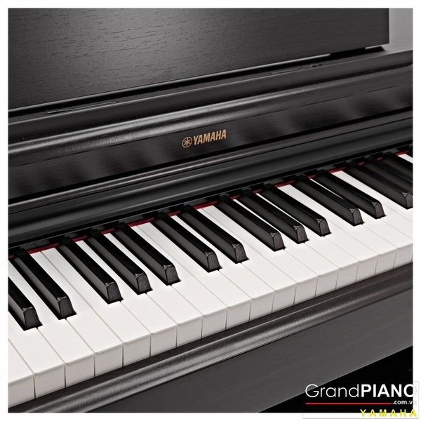 yamaha-ydp-164b