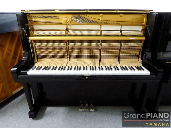 dan-piano-yamaha-u3m