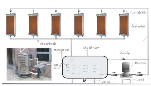 Hệ thống làm mát nhà xưởng bằng tấm cooling pad