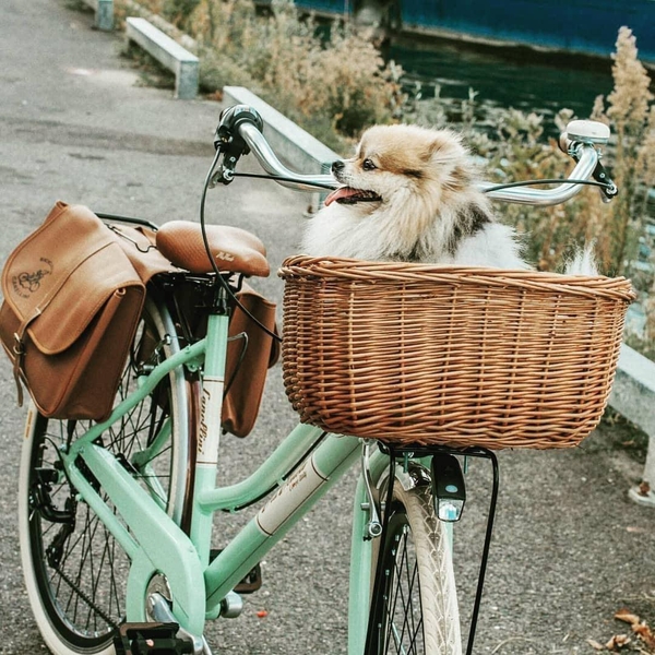 xe đạp nữ Via Veneto