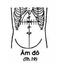 huyet-am-do