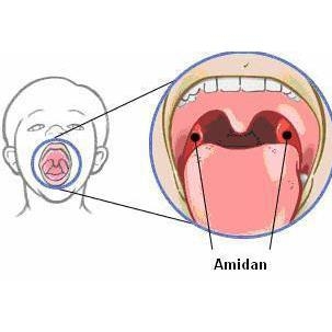 viem-amidal-cap