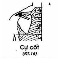 cu-cot