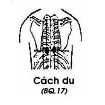 cach-du