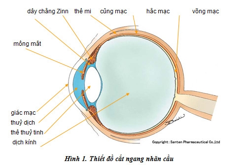 mac-chuong