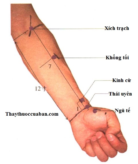 huyet-xich-trach