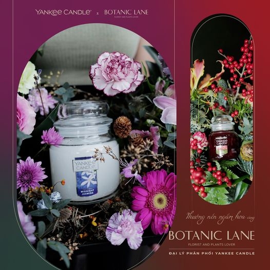 𝐘𝐀𝐍𝐊𝐄𝐄 𝐂𝐀𝐍𝐃𝐋𝐄 𝐱 𝐁𝐎𝐓𝐀𝐍𝐈𝐂 𝐋𝐀𝐍𝐄 𝐓𝐇𝐔̛𝐎̛̉𝐍𝐆 YANKEE CANDLE