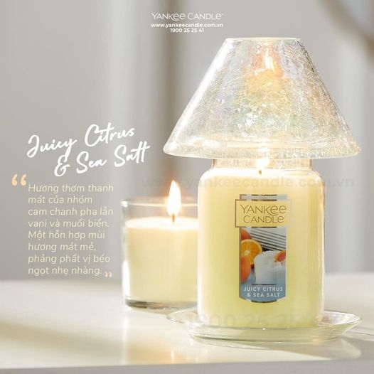 NẾN HŨ JUICY CITRUS & SEA SALT YANKEE CANDLE