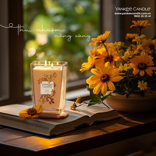 NẾN LY ELEVATION AMBER & ACORN THU NHUỘM NẮNG VÀNG YANKEE CANDLE