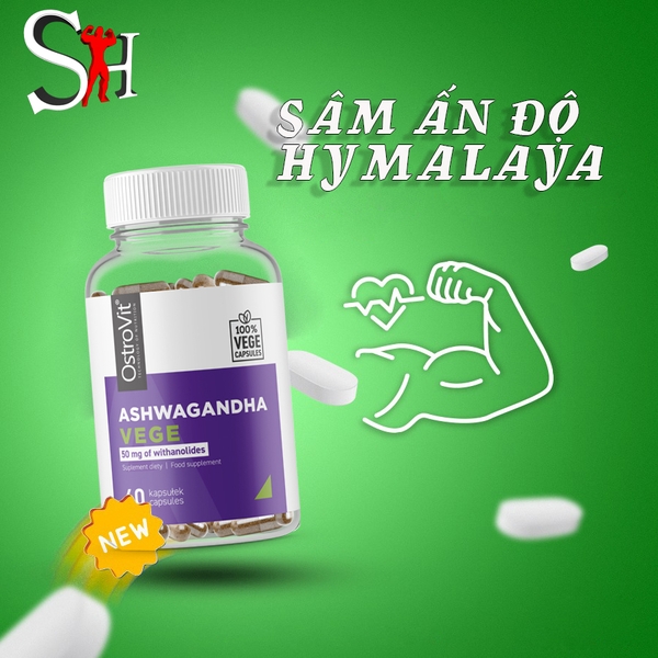 SÂM ẤN ĐỘ ASHWAGANDHA SÂM ẤN ĐỘ ASHWAGANDHA