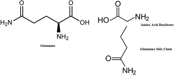 PHẦN 9: GLUTAMINE TPBS TĂNG CƯỜNG HOẠT ĐỘNG CƠ, TĂNG TRAO ĐỔI CHẤT PHẦN 9: GLUTAMINE TPBS TĂNG CƯỜNG HOẠT ĐỘNG CƠ, TĂNG TRAO ĐỔI CHẤT