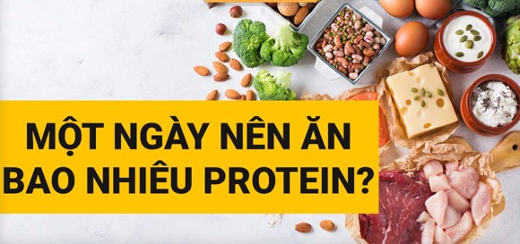 TẦM QUAN TRỌNG CỦA WHEY PROTEIN !! TẦM QUAN TRỌNG CỦA WHEY PROTEIN !!