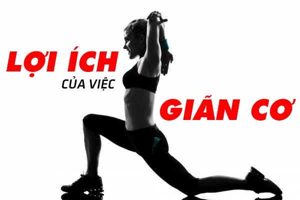LỢI ÍCH CỦA VIỆC GIÃN CƠ LỢI ÍCH CỦA VIỆC GIÃN CƠ