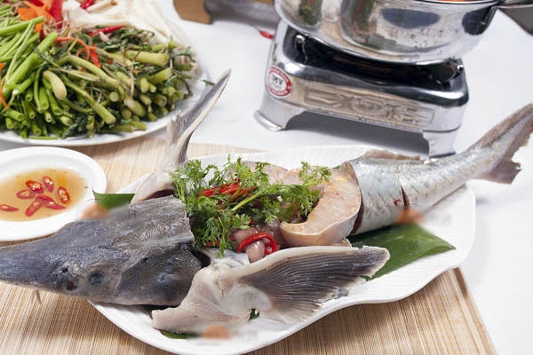Cá Tầm sông Đà tươi sống - Cách chế biến món ngon dinh dưỡng từ cá Tầm