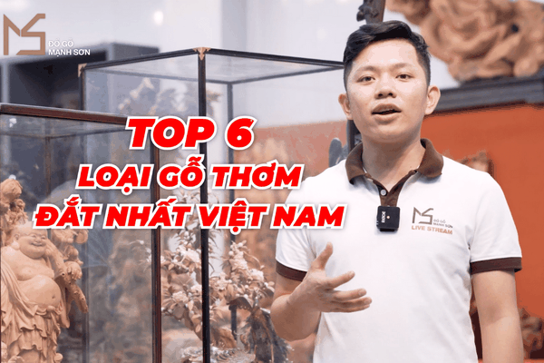 TOP 6 LOẠI GỖ THƠM ĐẮT NHẤT ĐANG CÓ MẶT TẠI VIỆT NAM, NHƯNG 3 LOẠI GỖ CUỐI CHỈ DÀNH CHO ĐẠI GIA