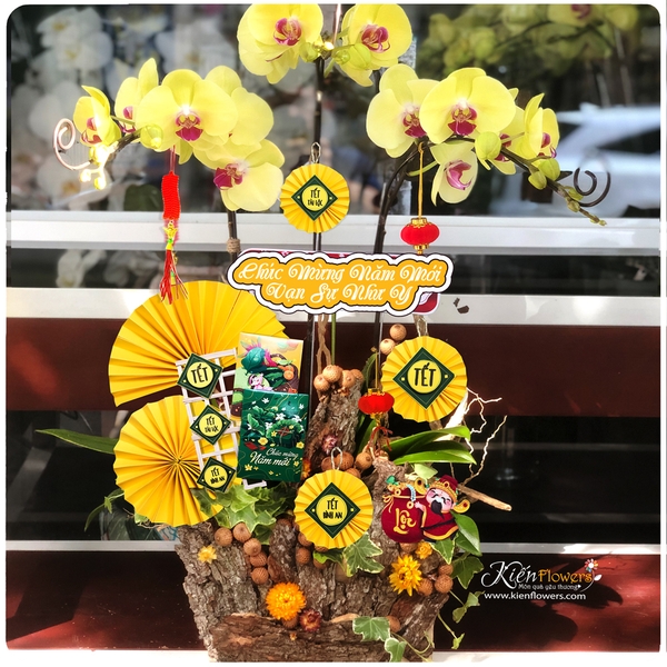 Lan Tết - M029