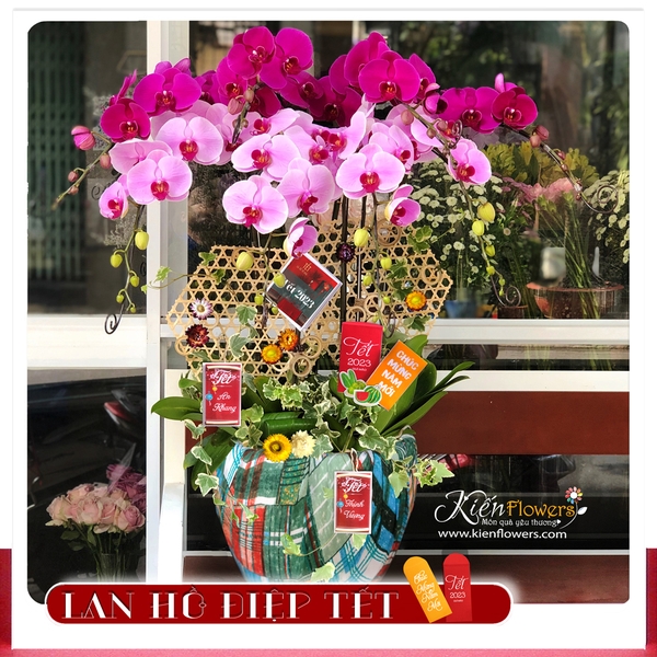 Lan Tết - M065