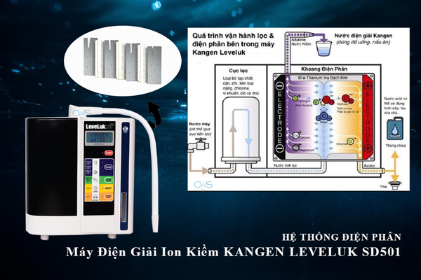 Hệ thống điện phân của Máy điện giải ion kiềm Kangen Leveluk SD501