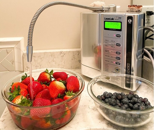 Máy Điện Giải Kangen LeveLuk SD501 Platinum- Hàng Chính Hãng