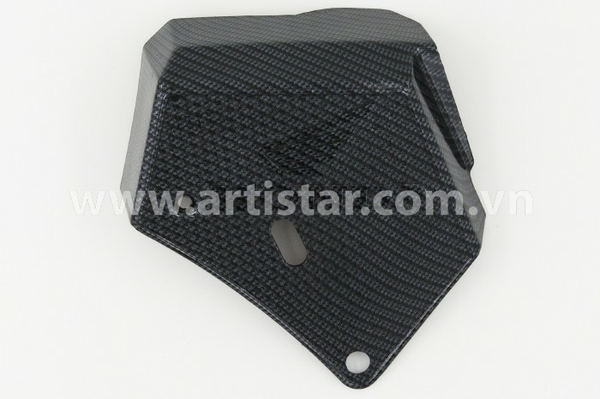 chup-lam-mat-ab13-carbon
