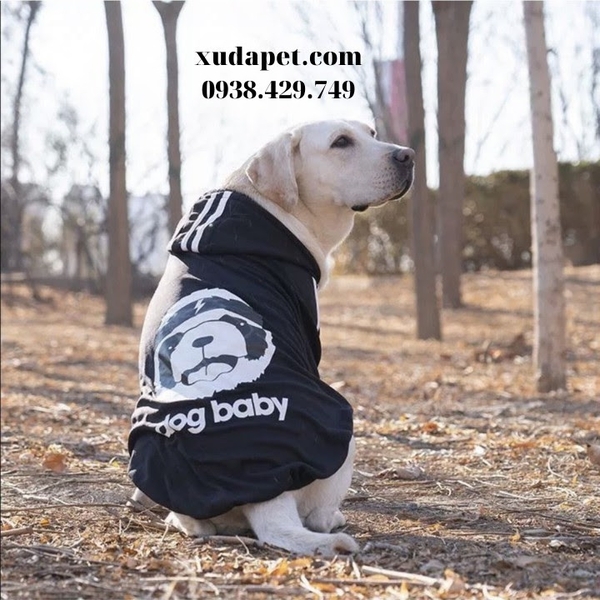 ÁO HOODIE CHO CHÓ LỚN DOG BABY - SP000611