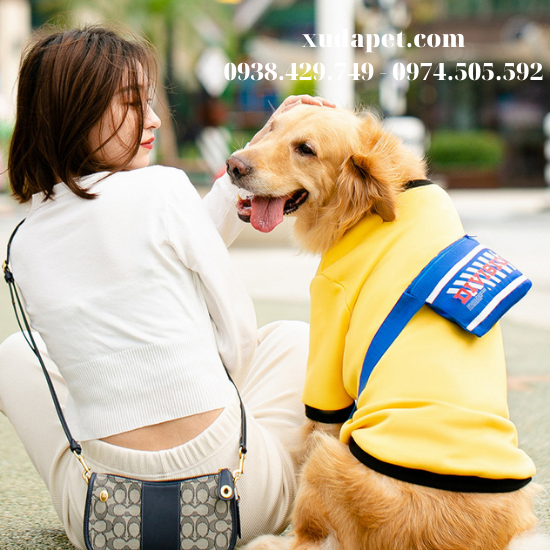 Áo thun cho chó lớn kèm túi đeo chéo Division sành điệu - SP005330