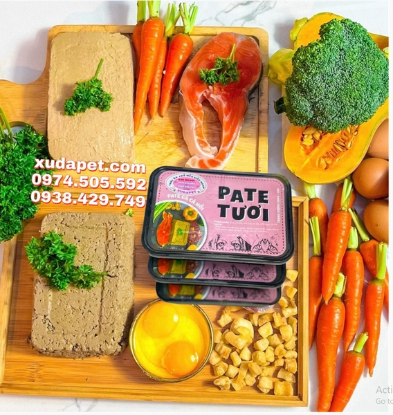 PATE TƯƠI GÀ CÁ HỒI CHO CHÓ MÈO NGUYÊN CHẤT 100% HỘP 500G - SP005431