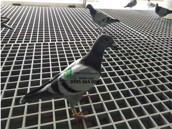 uu-diem-san-thao-tac-grating-frp-2