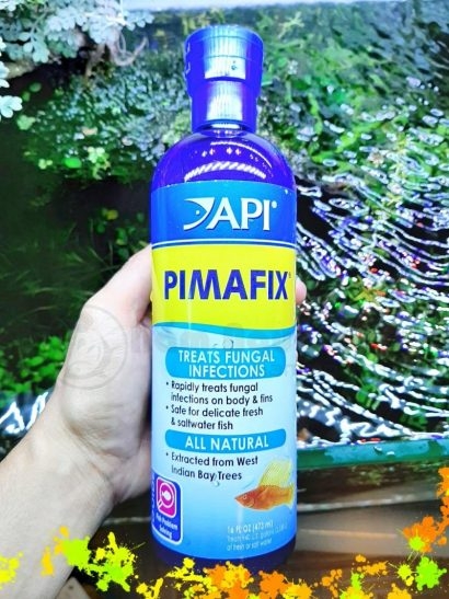 Thuốc trị nấm cá Api Pimafix, trị bệnh nấm mang, tuột nhớt và phòng bệnh cho cá