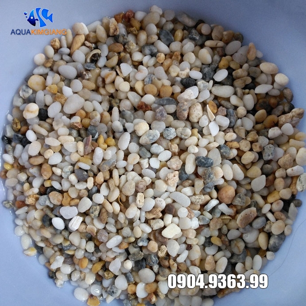 Sỏi biển trải nền bể cá túi 1kg, 2kg sỏi sạch, hạt nhỏ, trang trí nền bể cá, trồng được cây thủy sinh