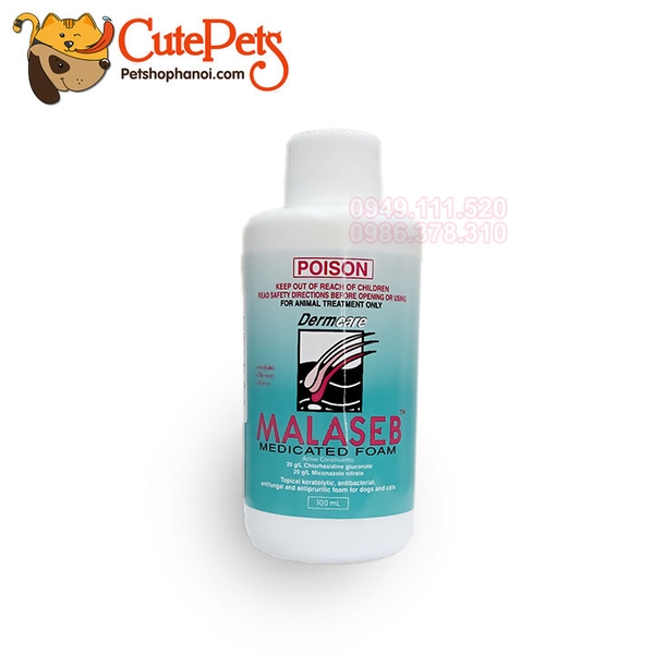 Sữa tắm trị nấm, viêm da DermCare Malaseb 100ml cho chó mèo - CutePets Cutepets - Pet shop & Grooming Spa Thú cưng Hà Nội Sữa tắm trị nấm, viêm da DermCare Malaseb 100ml cho chó mèo - CutePets Cutepets - Pet shop & Grooming Spa Thú cưng Hà Nội